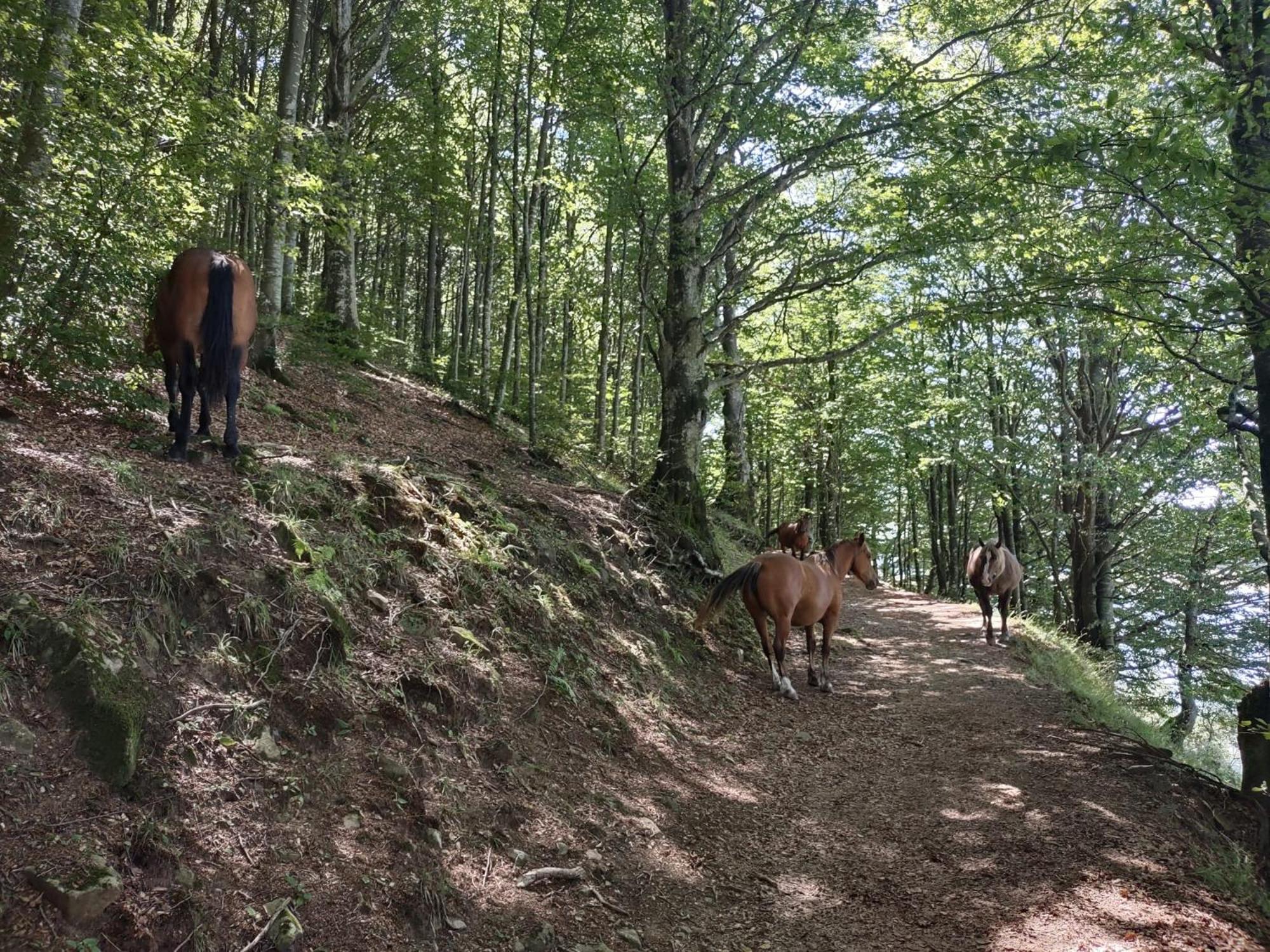 Castello Di Pontebosio Luxury Resort Licciana Nardi エクステリア 写真